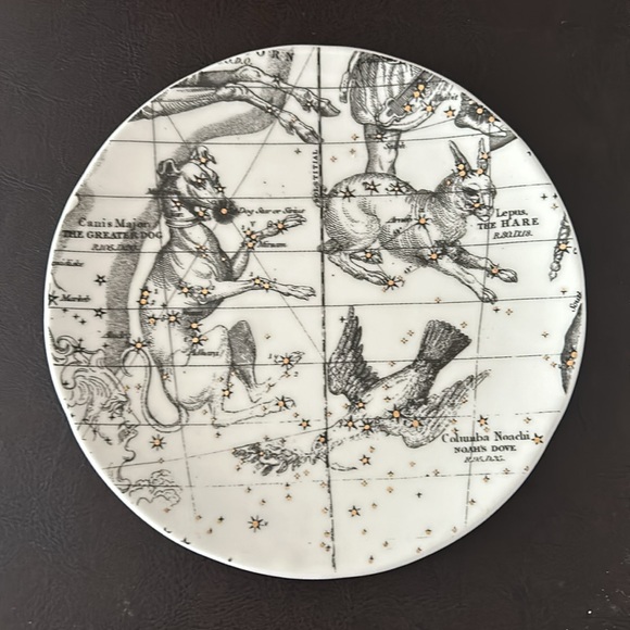 Anthropologie Astrology Chart Canape Plate Salt and Earth Columba Constellation - Picture 1 of 5